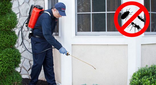 Yenifoça Böcek İlaçlama böcek ilaçlama ve haşere kontrolü — ilaclama-tr.com